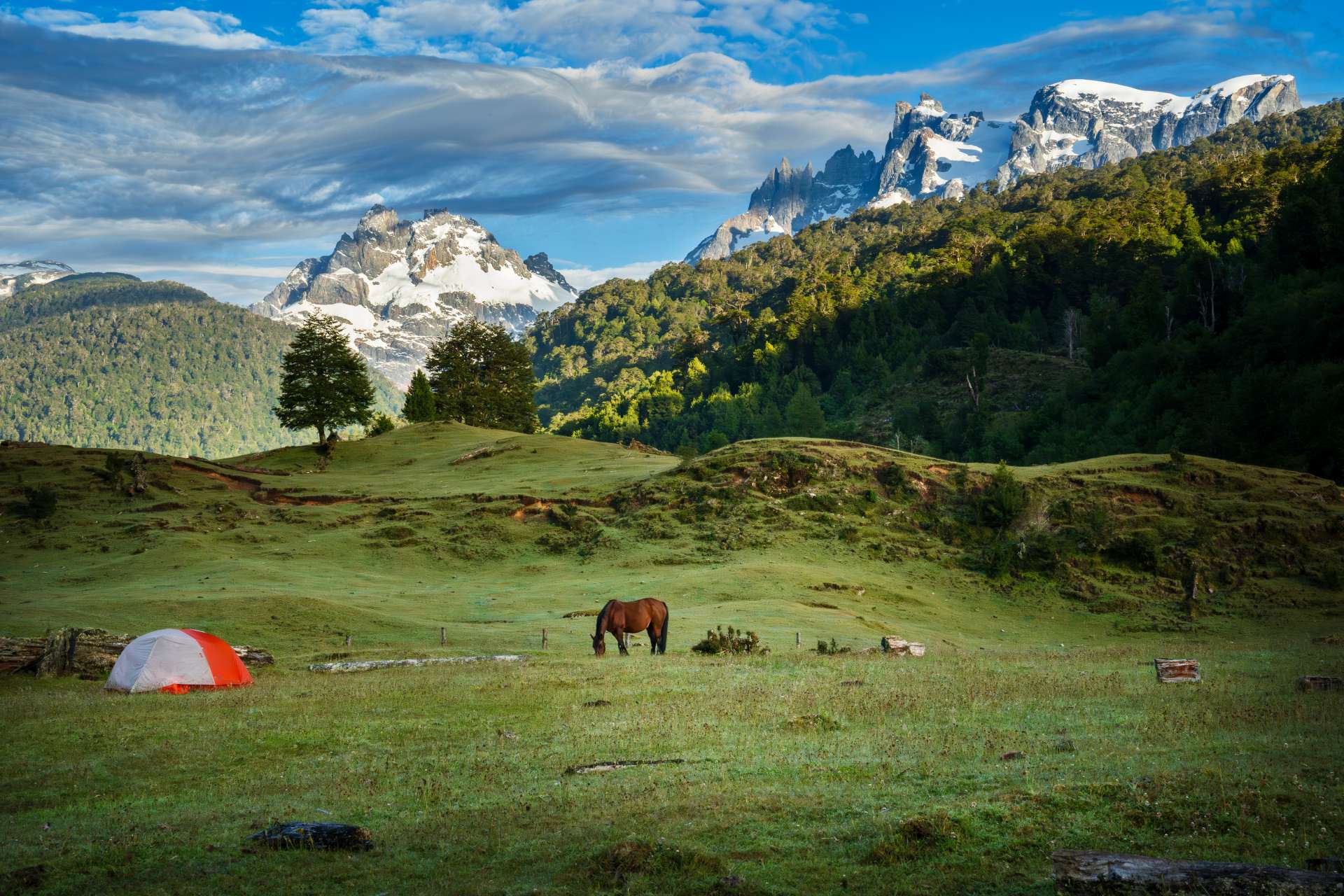 Tent patagolomoties