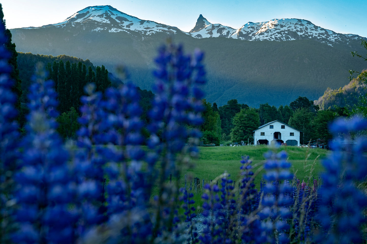 Multi-Lodge Hiking Trip (Patagonia)