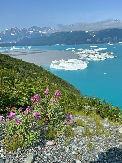 Alsek River Rafting Trip