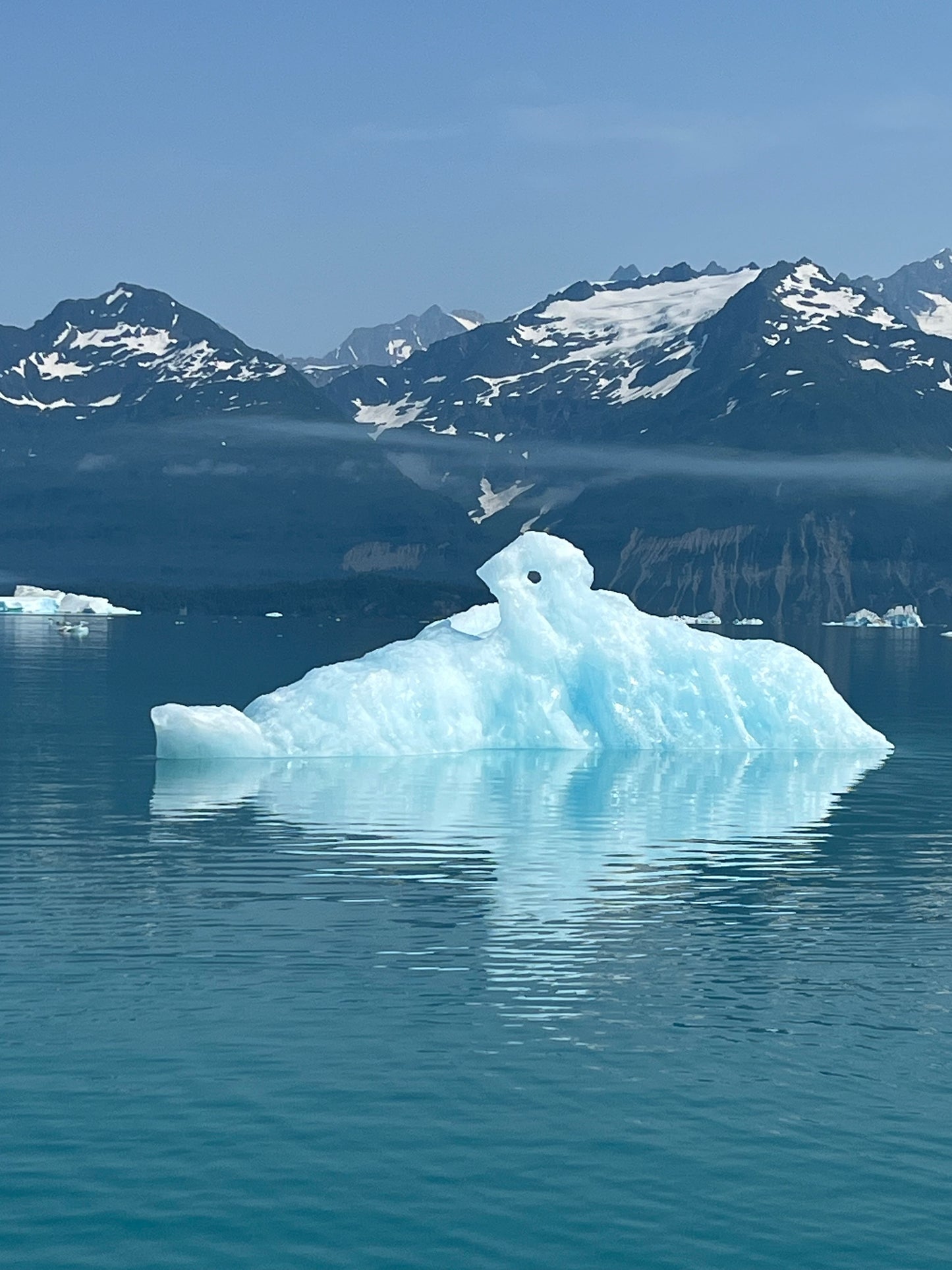 Alsek River Rafting Trip