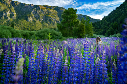 Multi-Lodge Hiking Trip (Patagonia)