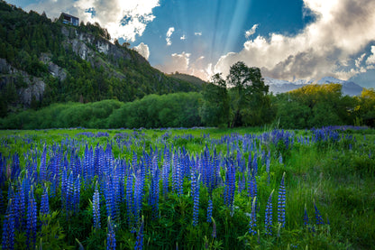 Multi-Lodge Hiking Trip (Patagonia)