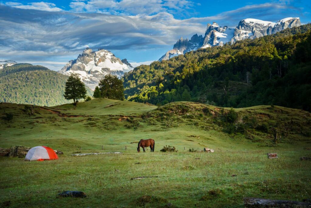 Tent patagolomoties