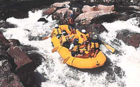 Secondary Image