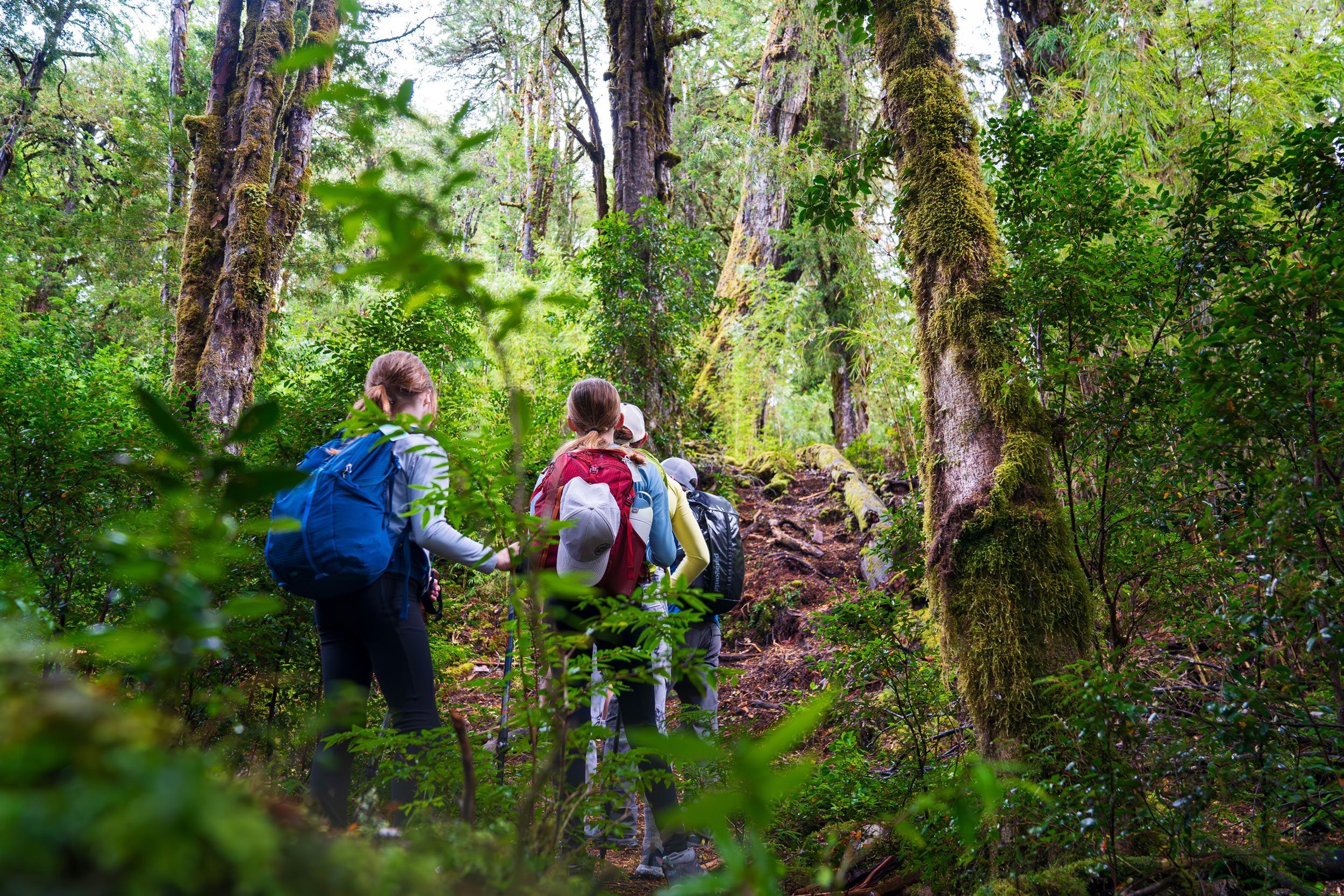 Peuma forest hiking on Earth River Futaleufu Expedition
