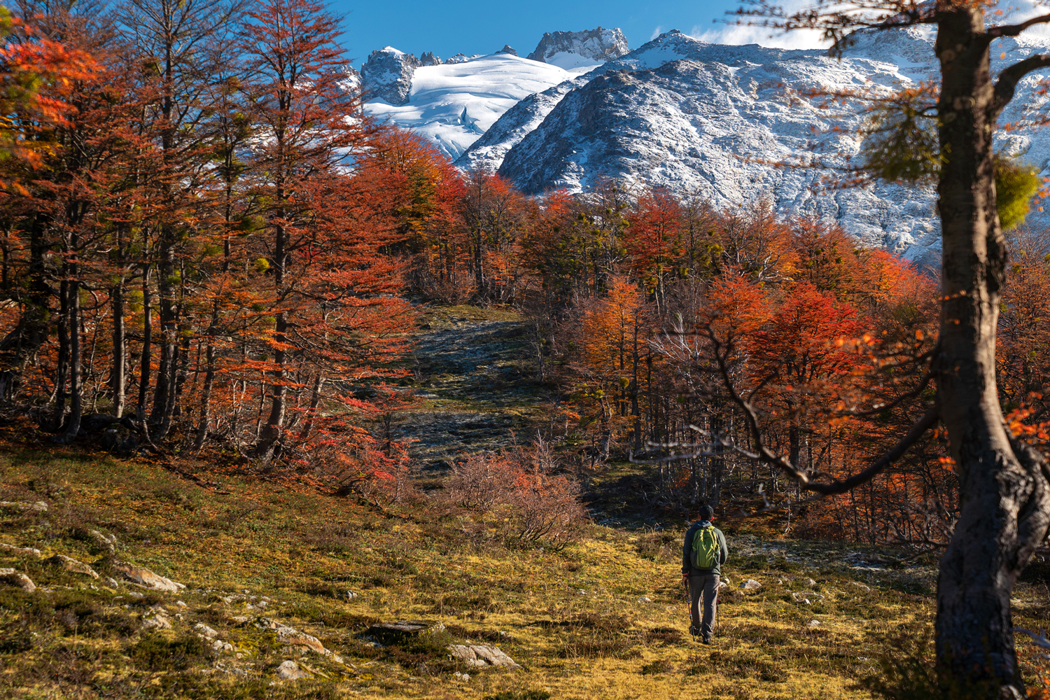 Fall colors in the Futaleufu Valley