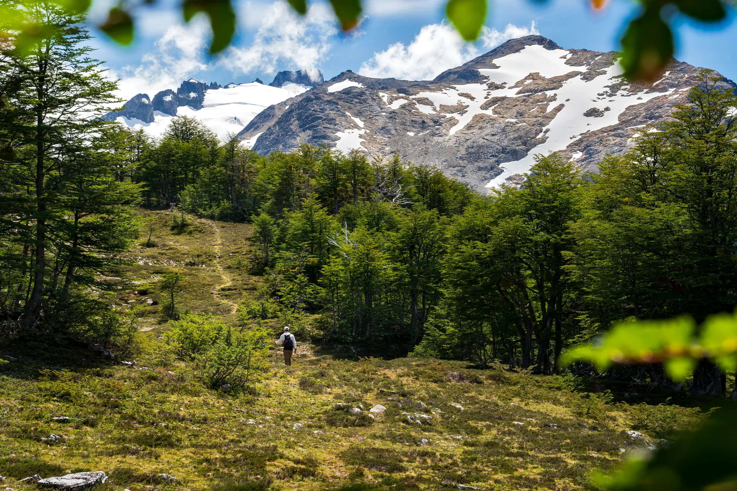 Hiking in the Futaleufu Valley