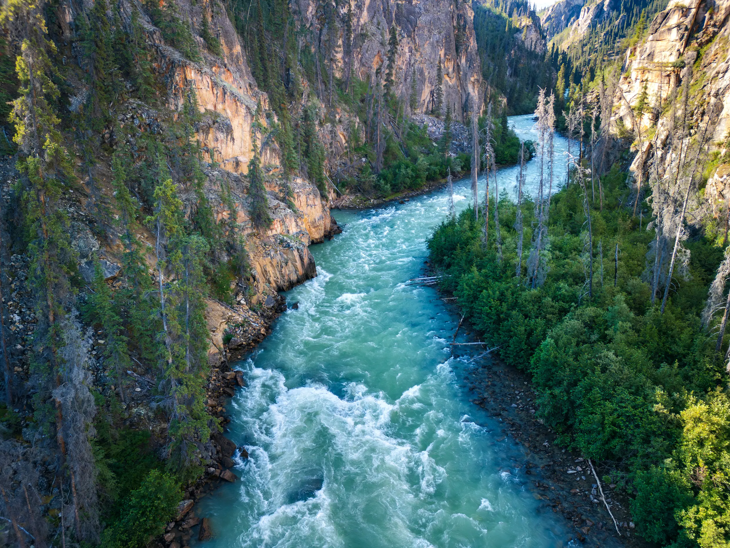 Primrose Canyon