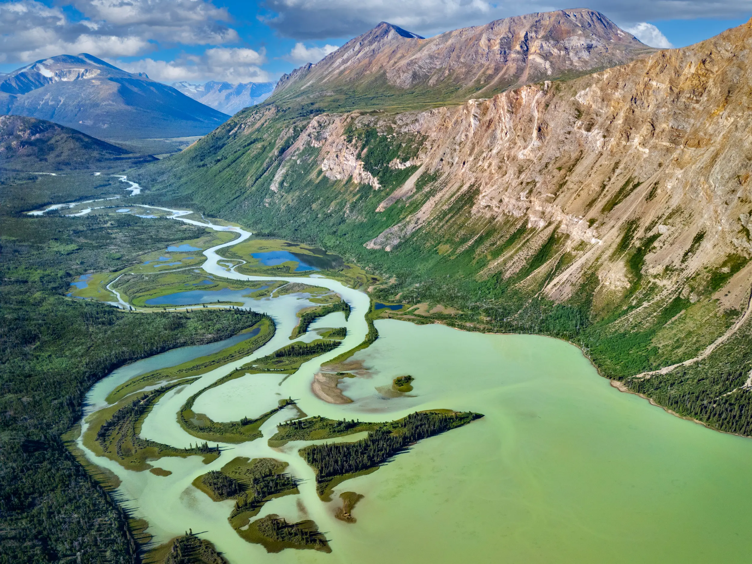 Primrose River Flowing Into Rose Lake